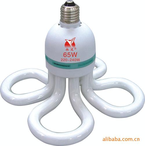電感鎮(zhèn)流器;節(jié)能燈;  主營(yíng)行業(yè):  其他室內(nèi)照明