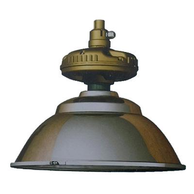 產(chǎn)品展示    1.本燈具為工廠用普通照明設備.      2.